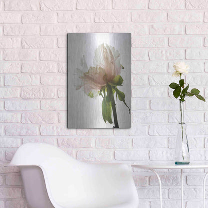 Luxe Metal Art 'Translucent Peony VIII' by Debra Van Swearingen, Metal Wall Art,16x24