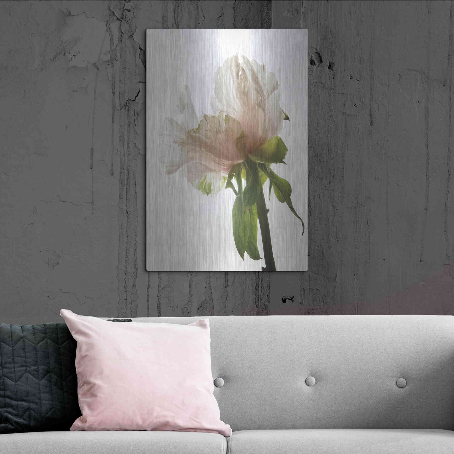 Luxe Metal Art 'Translucent Peony VIII' by Debra Van Swearingen, Metal Wall Art,24x36