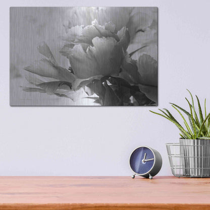 Luxe Metal Art 'Translucent Peony IBW' by Debra Van Swearingen, Metal Wall Art,16x12