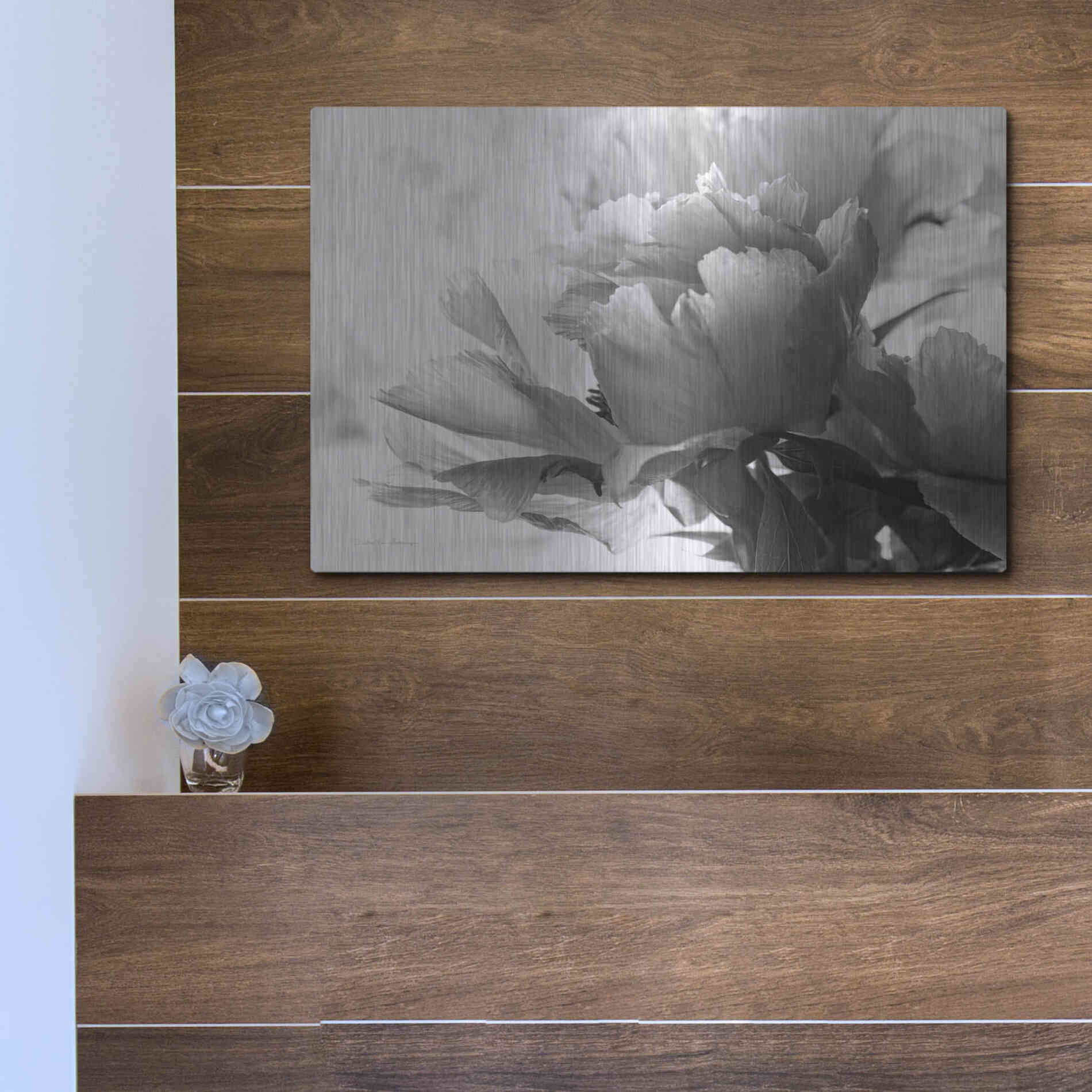 Luxe Metal Art 'Translucent Peony IBW' by Debra Van Swearingen, Metal Wall Art,16x12