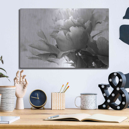 Luxe Metal Art 'Translucent Peony IBW' by Debra Van Swearingen, Metal Wall Art,16x12