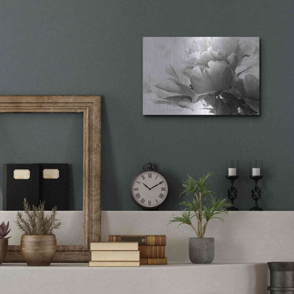 Luxe Metal Art 'Translucent Peony IBW' by Debra Van Swearingen, Metal Wall Art,16x12