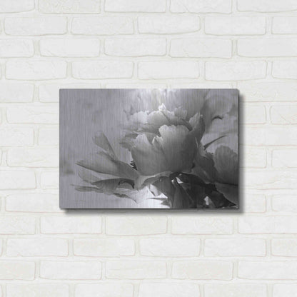 Luxe Metal Art 'Translucent Peony IBW' by Debra Van Swearingen, Metal Wall Art,24x16