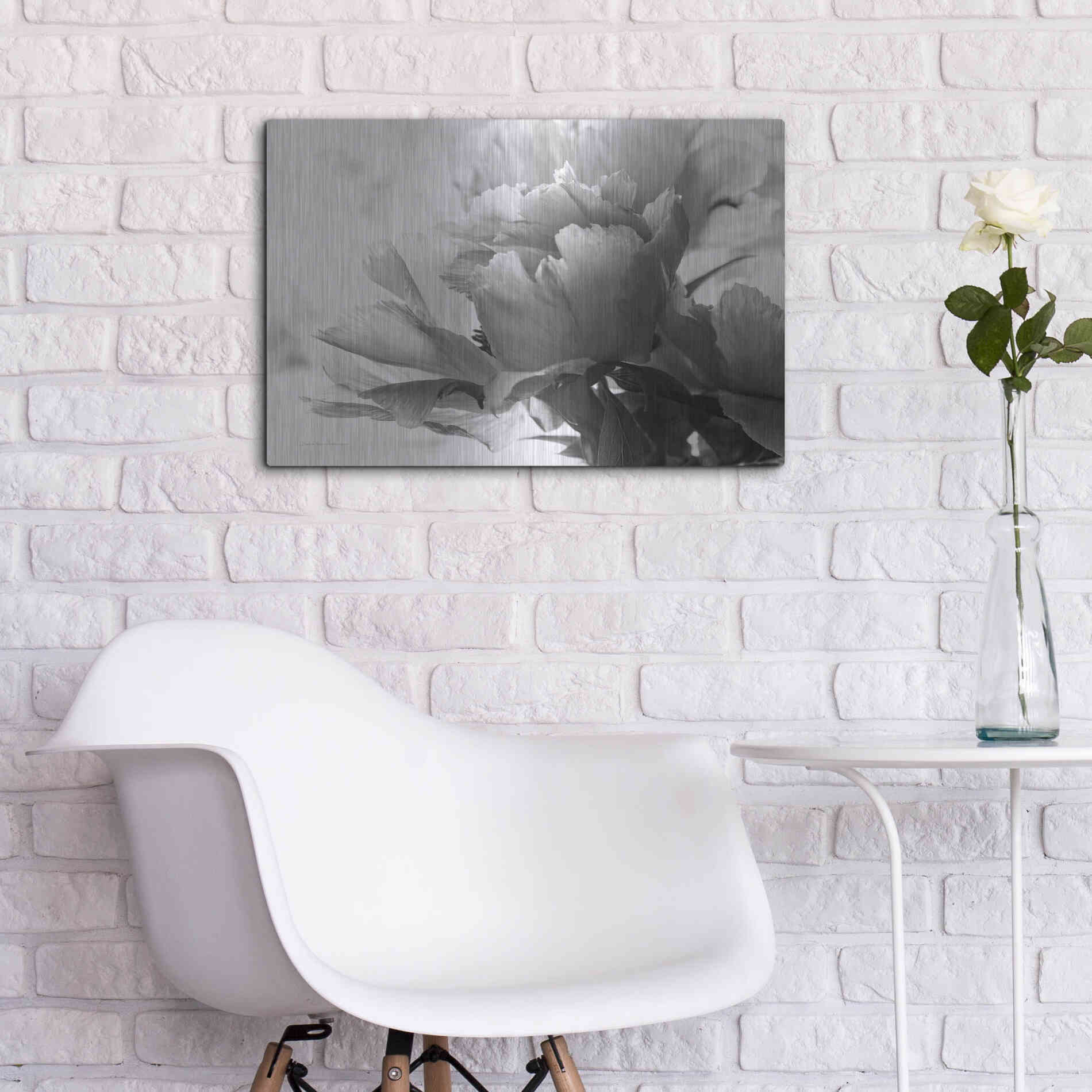 Luxe Metal Art 'Translucent Peony IBW' by Debra Van Swearingen, Metal Wall Art,24x16
