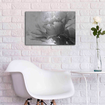 Luxe Metal Art 'Translucent Peony IBW' by Debra Van Swearingen, Metal Wall Art,24x16
