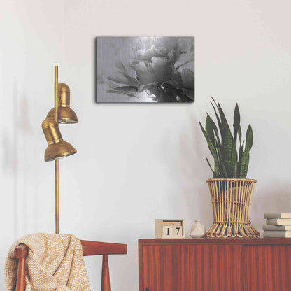 Luxe Metal Art 'Translucent Peony IBW' by Debra Van Swearingen, Metal Wall Art,24x16