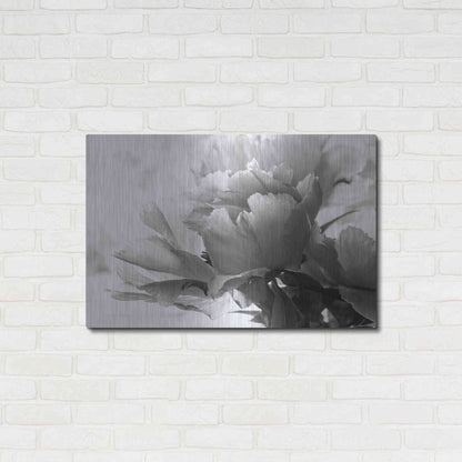 Luxe Metal Art 'Translucent Peony IBW' by Debra Van Swearingen, Metal Wall Art,36x24
