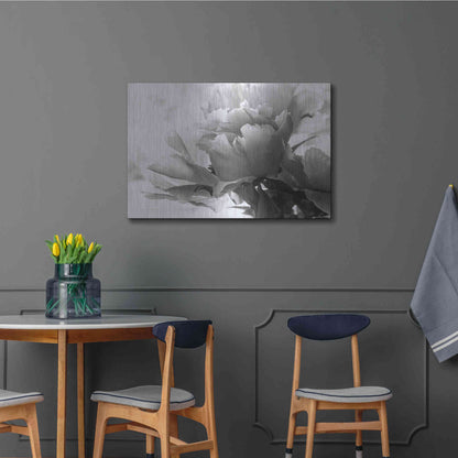 Luxe Metal Art 'Translucent Peony IBW' by Debra Van Swearingen, Metal Wall Art,36x24
