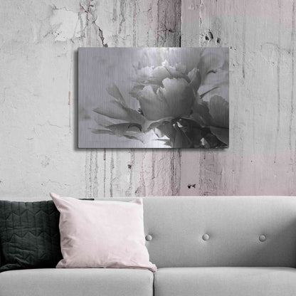 Luxe Metal Art 'Translucent Peony IBW' by Debra Van Swearingen, Metal Wall Art,36x24