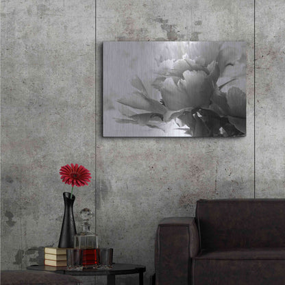 Luxe Metal Art 'Translucent Peony IBW' by Debra Van Swearingen, Metal Wall Art,36x24