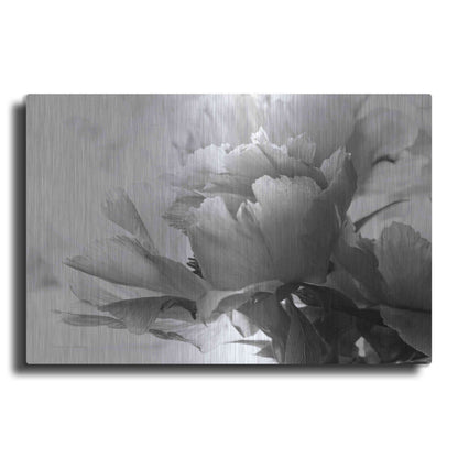Luxe Metal Art 'Translucent Peony IBW' by Debra Van Swearingen, Metal Wall Art
