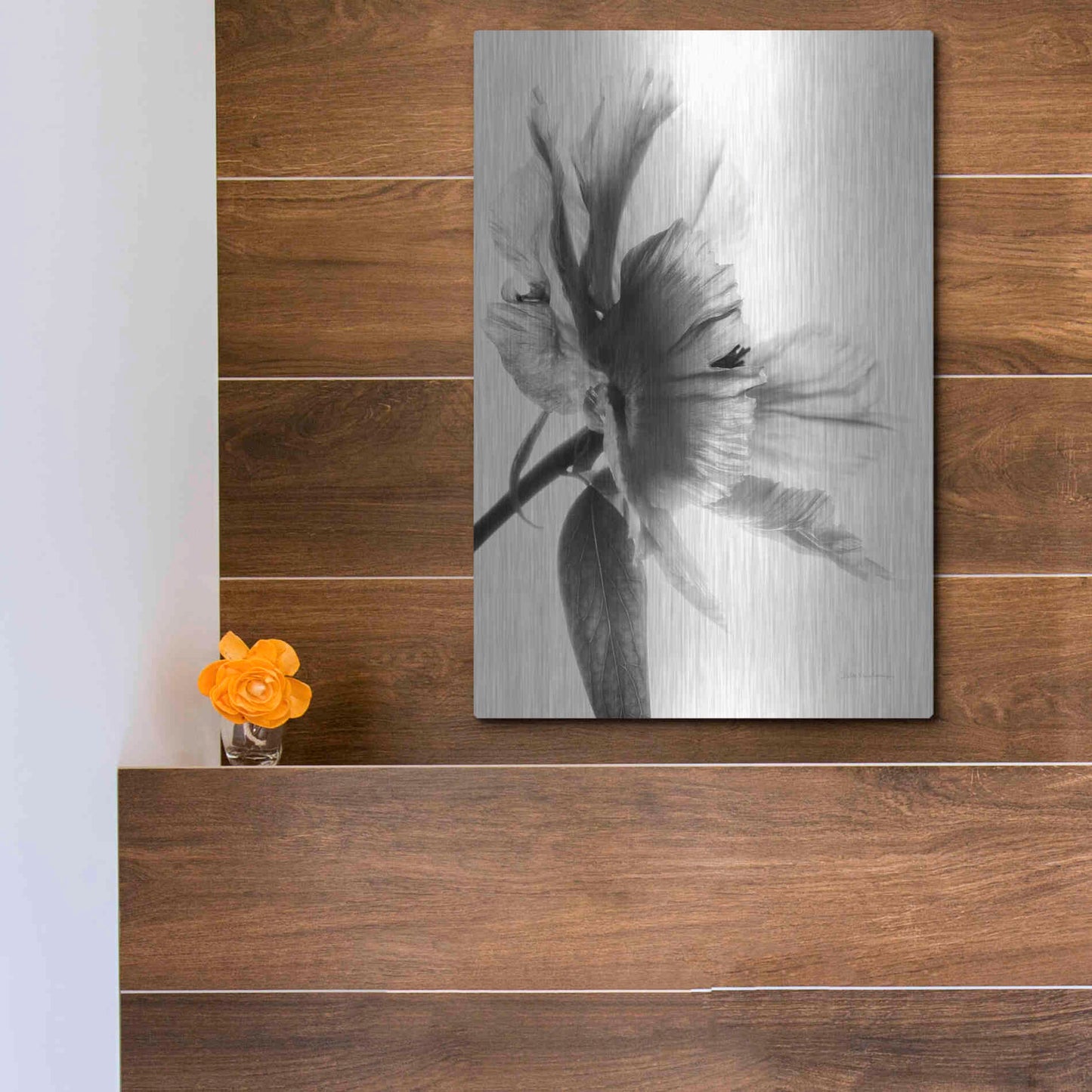 Luxe Metal Art 'Translucent Peony IIBW' by Debra Van Swearingen, Metal Wall Art,12x16