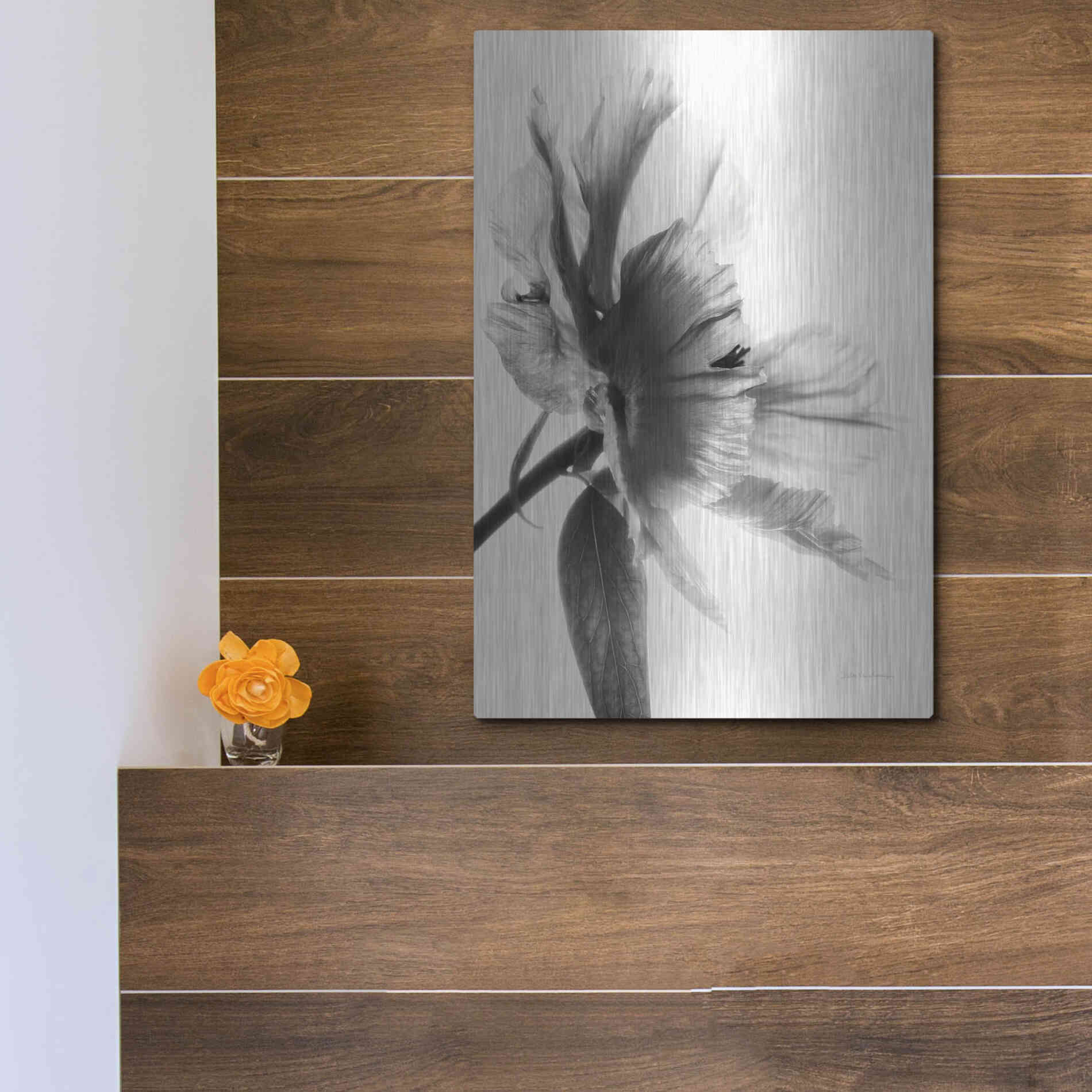 Luxe Metal Art 'Translucent Peony IIBW' by Debra Van Swearingen, Metal Wall Art,12x16