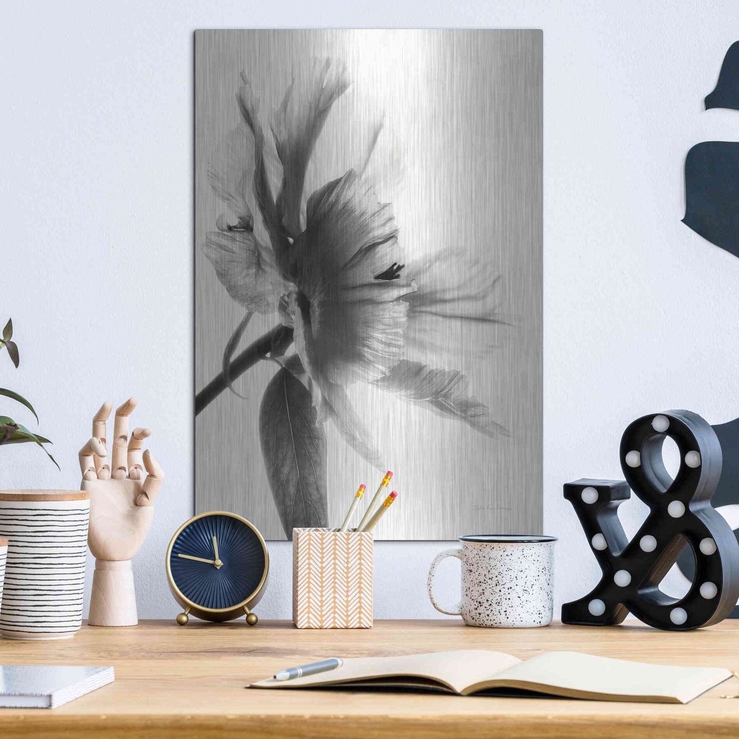 Luxe Metal Art 'Translucent Peony IIBW' by Debra Van Swearingen, Metal Wall Art,12x16