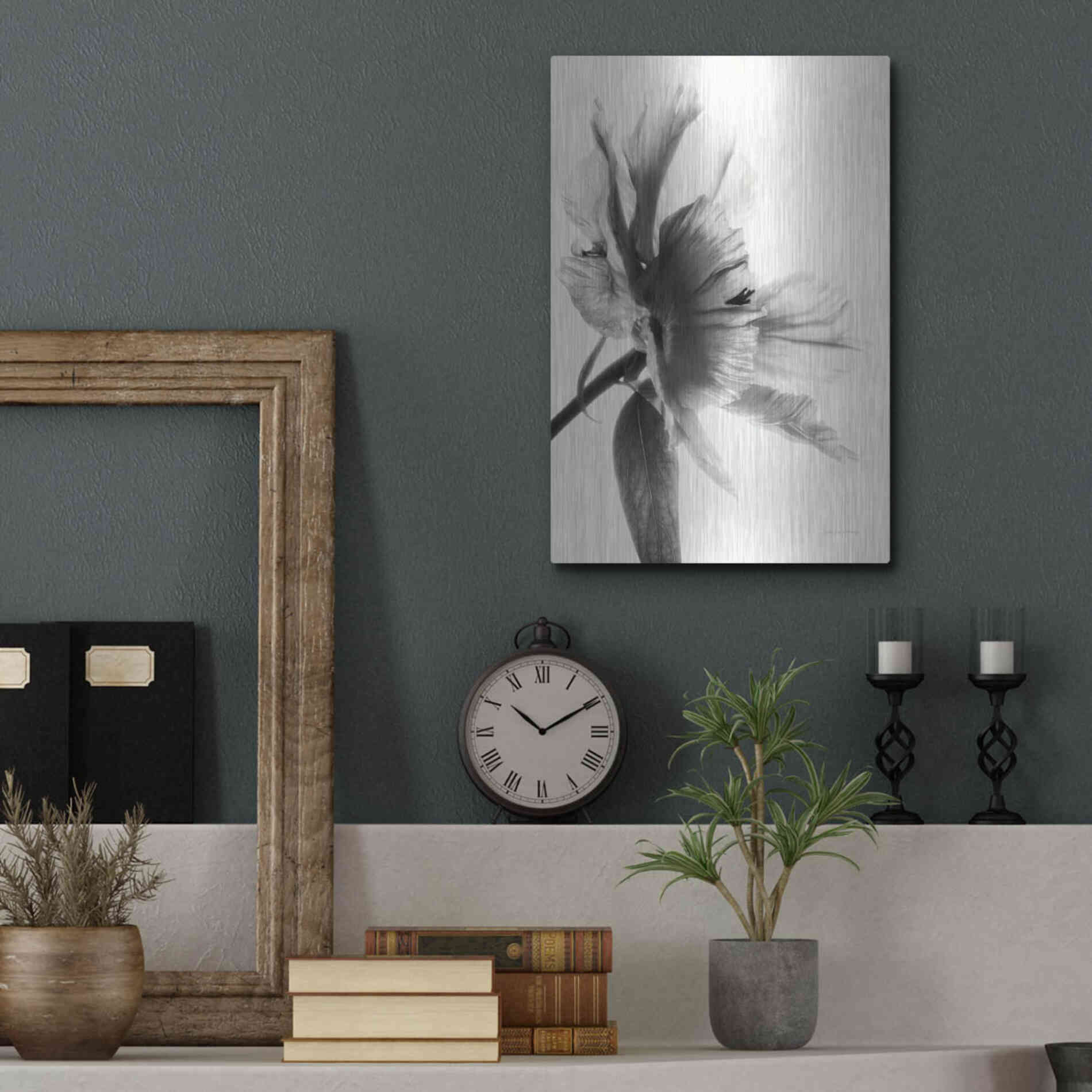 Luxe Metal Art 'Translucent Peony IIBW' by Debra Van Swearingen, Metal Wall Art,12x16
