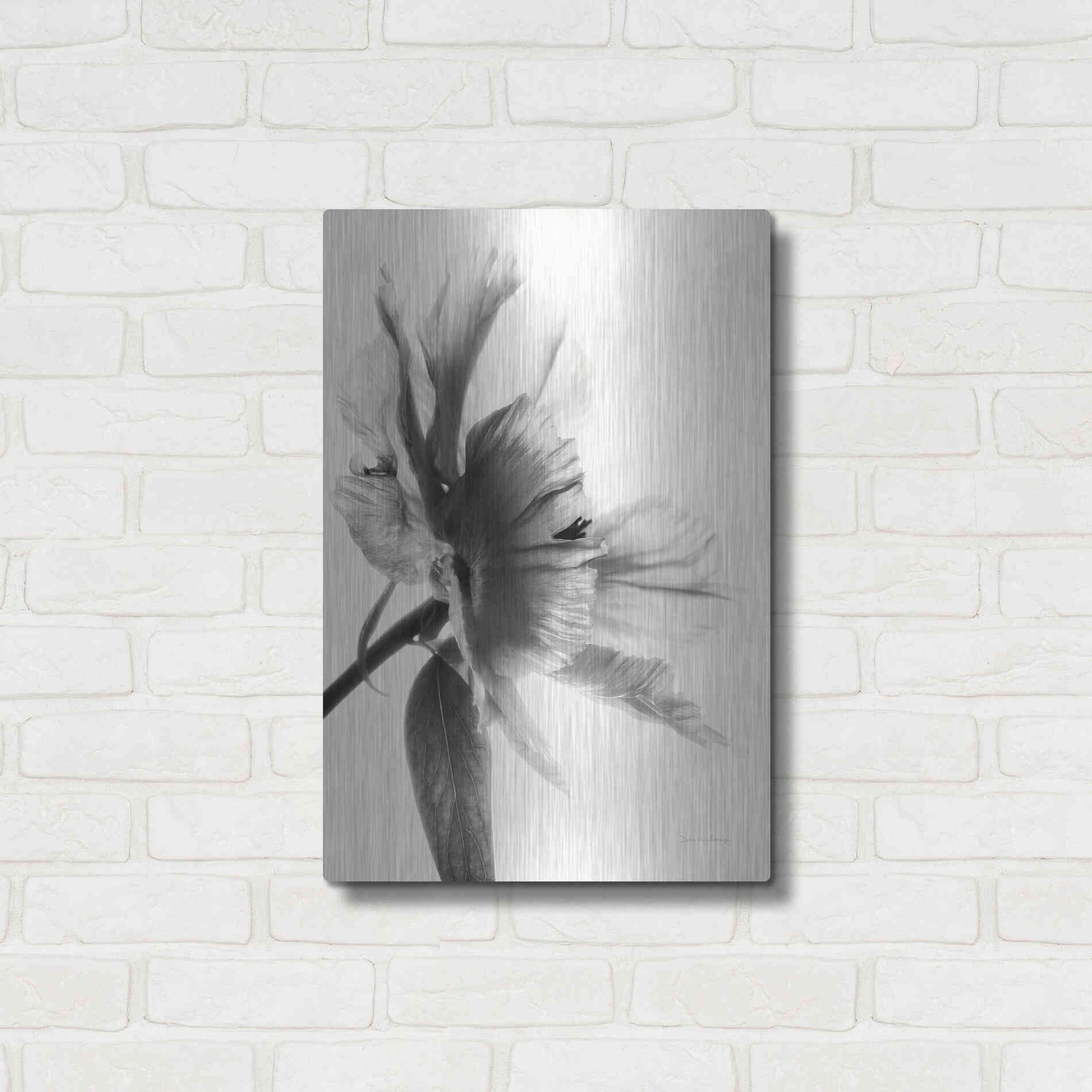 Luxe Metal Art 'Translucent Peony IIBW' by Debra Van Swearingen, Metal Wall Art,16x24