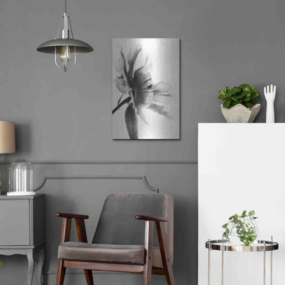 Luxe Metal Art 'Translucent Peony IIBW' by Debra Van Swearingen, Metal Wall Art,16x24