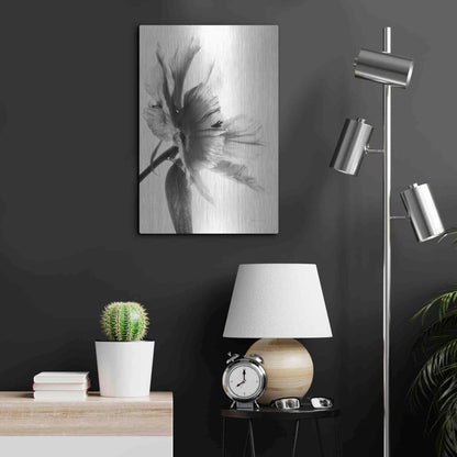 Luxe Metal Art 'Translucent Peony IIBW' by Debra Van Swearingen, Metal Wall Art,16x24