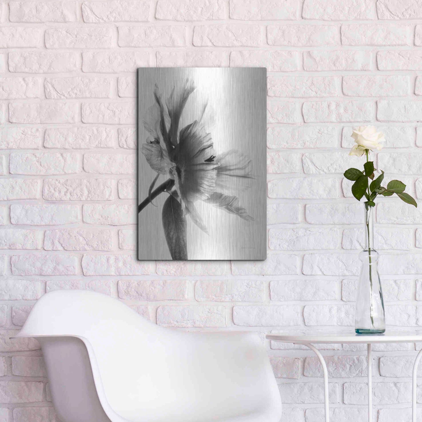 Luxe Metal Art 'Translucent Peony IIBW' by Debra Van Swearingen, Metal Wall Art,16x24