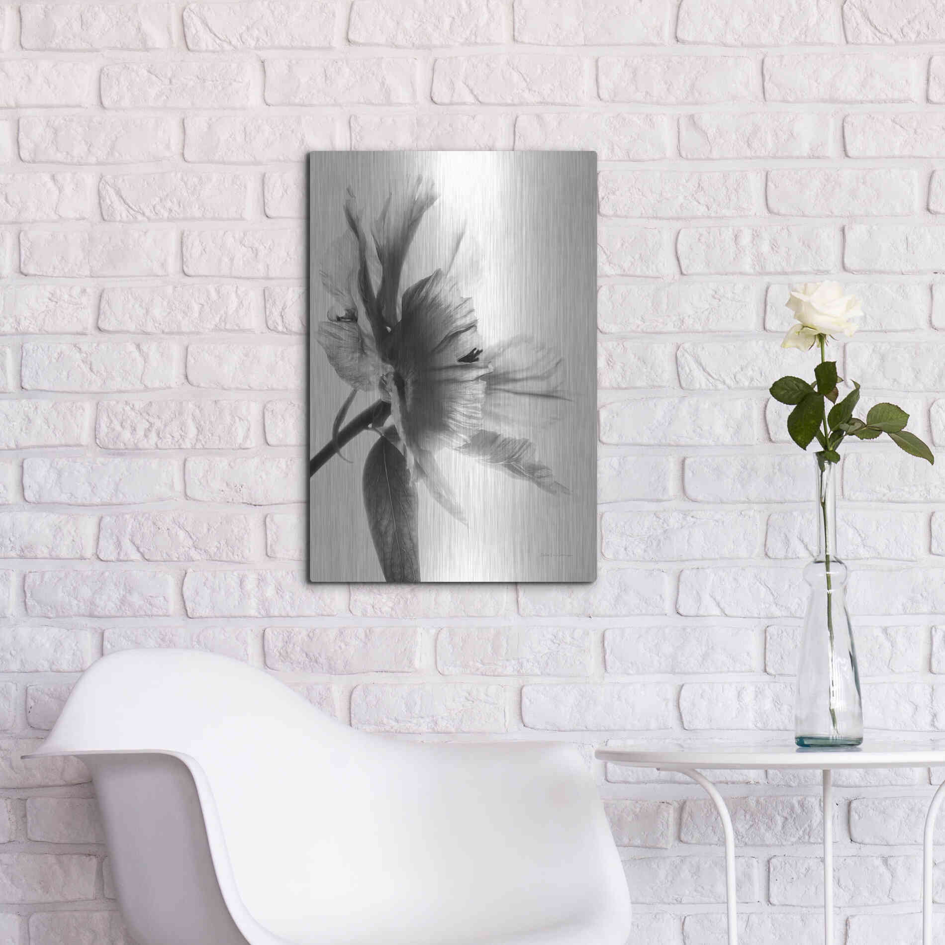 Luxe Metal Art 'Translucent Peony IIBW' by Debra Van Swearingen, Metal Wall Art,16x24