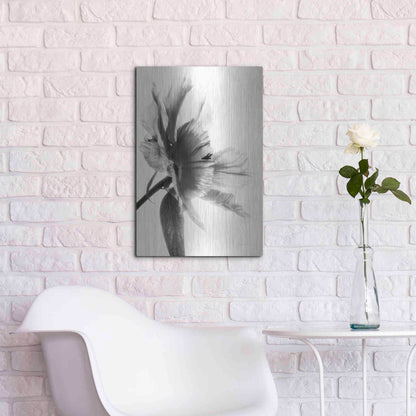 Luxe Metal Art 'Translucent Peony IIBW' by Debra Van Swearingen, Metal Wall Art,16x24