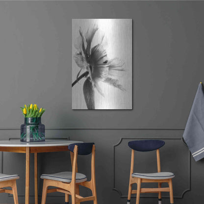 Luxe Metal Art 'Translucent Peony IIBW' by Debra Van Swearingen, Metal Wall Art,24x36