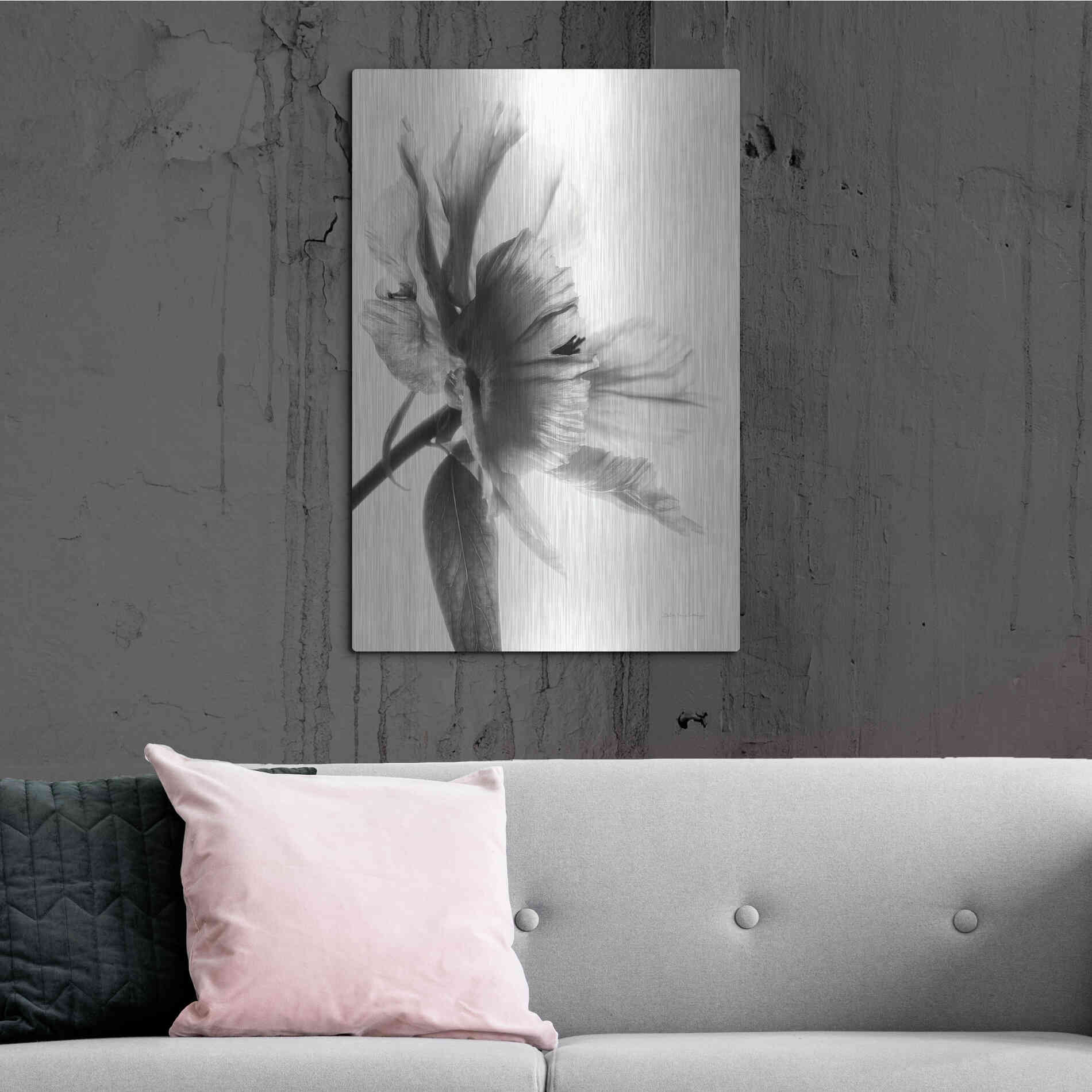 Luxe Metal Art 'Translucent Peony IIBW' by Debra Van Swearingen, Metal Wall Art,24x36