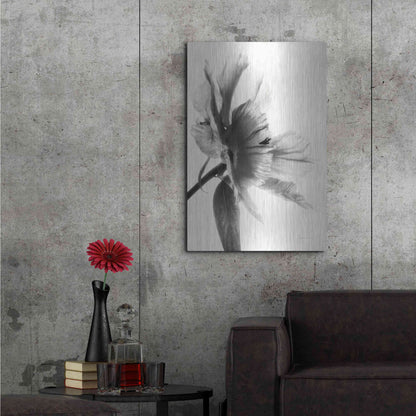 Luxe Metal Art 'Translucent Peony IIBW' by Debra Van Swearingen, Metal Wall Art,24x36