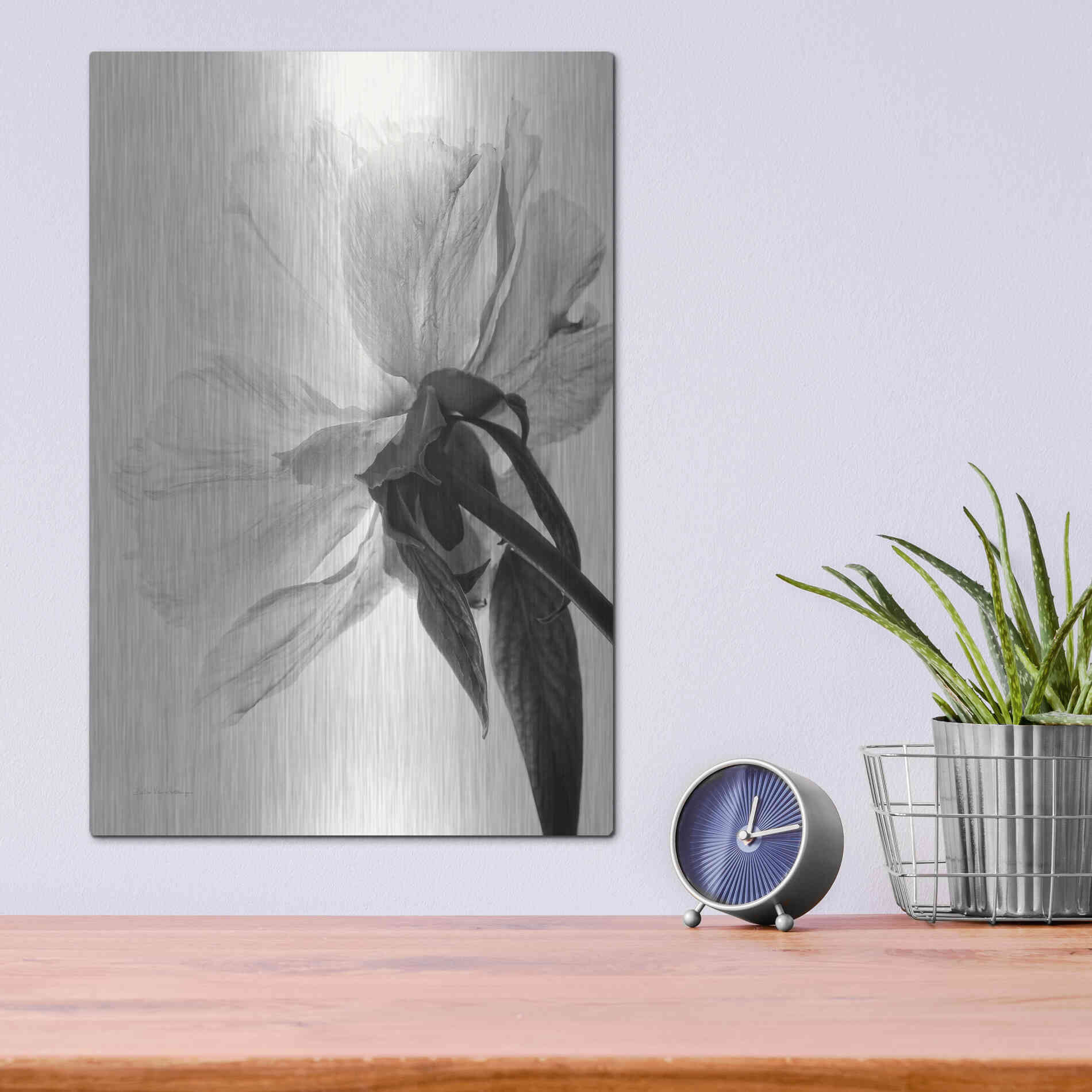 Luxe Metal Art 'Translucent Peony IIIBW' by Debra Van Swearingen, Metal Wall Art,12x16