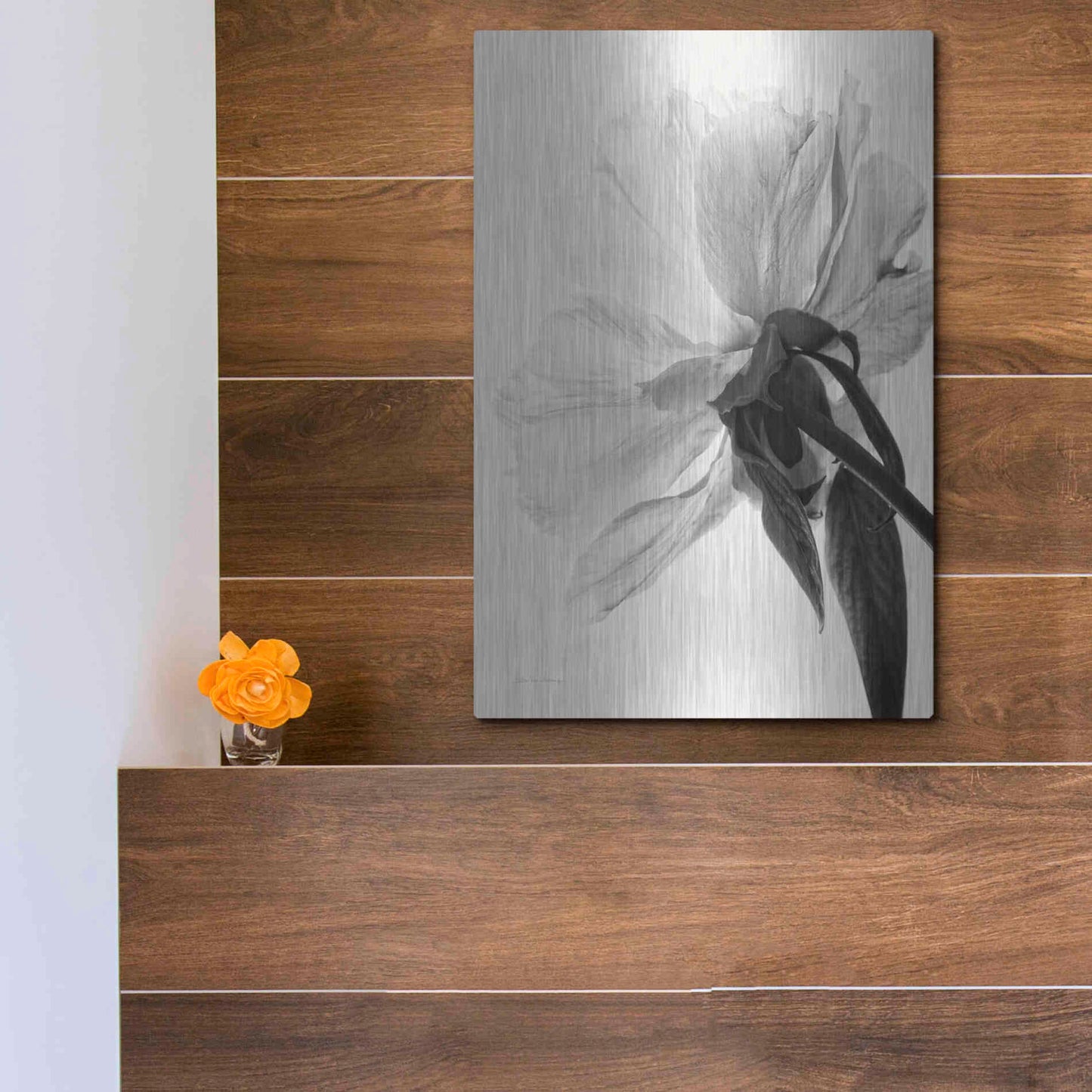 Luxe Metal Art 'Translucent Peony IIIBW' by Debra Van Swearingen, Metal Wall Art,12x16