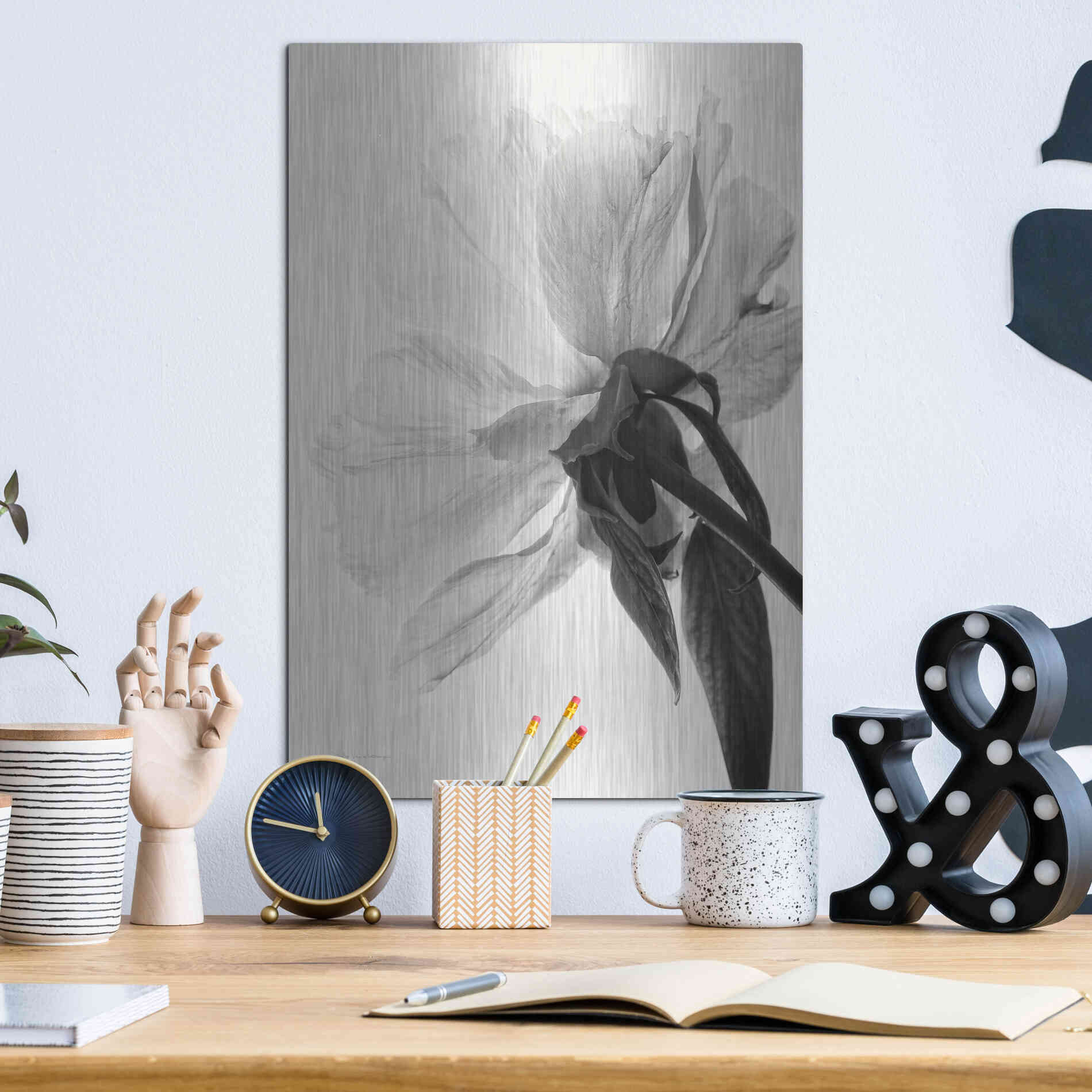 Luxe Metal Art 'Translucent Peony IIIBW' by Debra Van Swearingen, Metal Wall Art,12x16