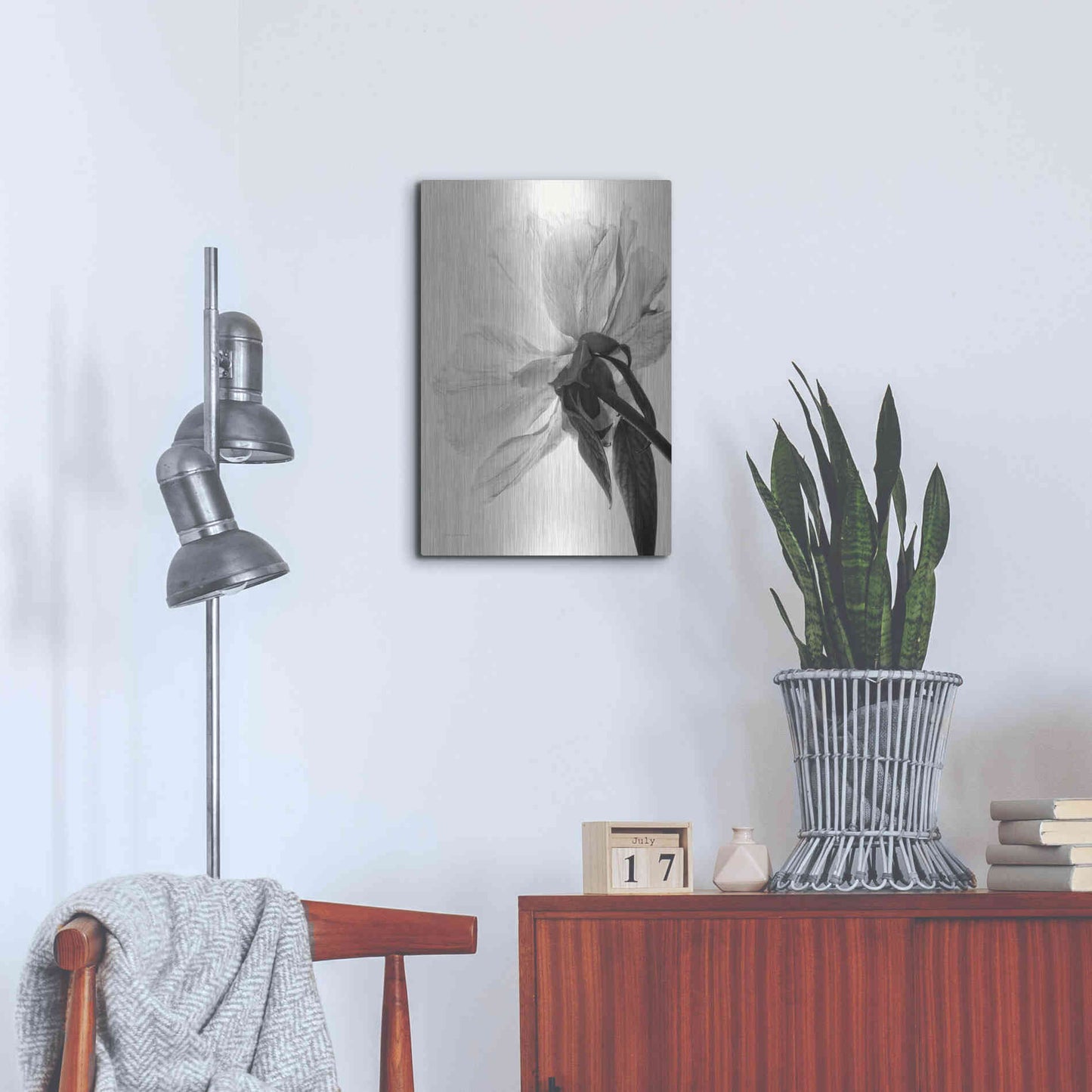 Luxe Metal Art 'Translucent Peony IIIBW' by Debra Van Swearingen, Metal Wall Art,16x24