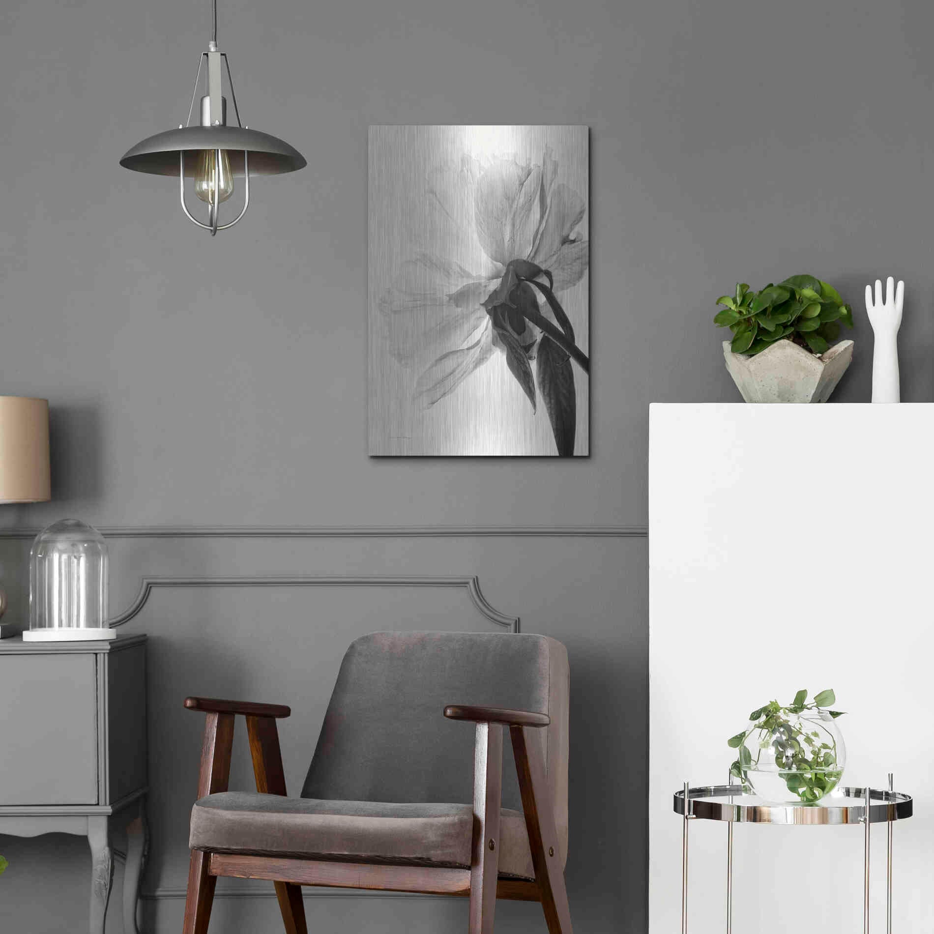 Luxe Metal Art 'Translucent Peony IIIBW' by Debra Van Swearingen, Metal Wall Art,16x24