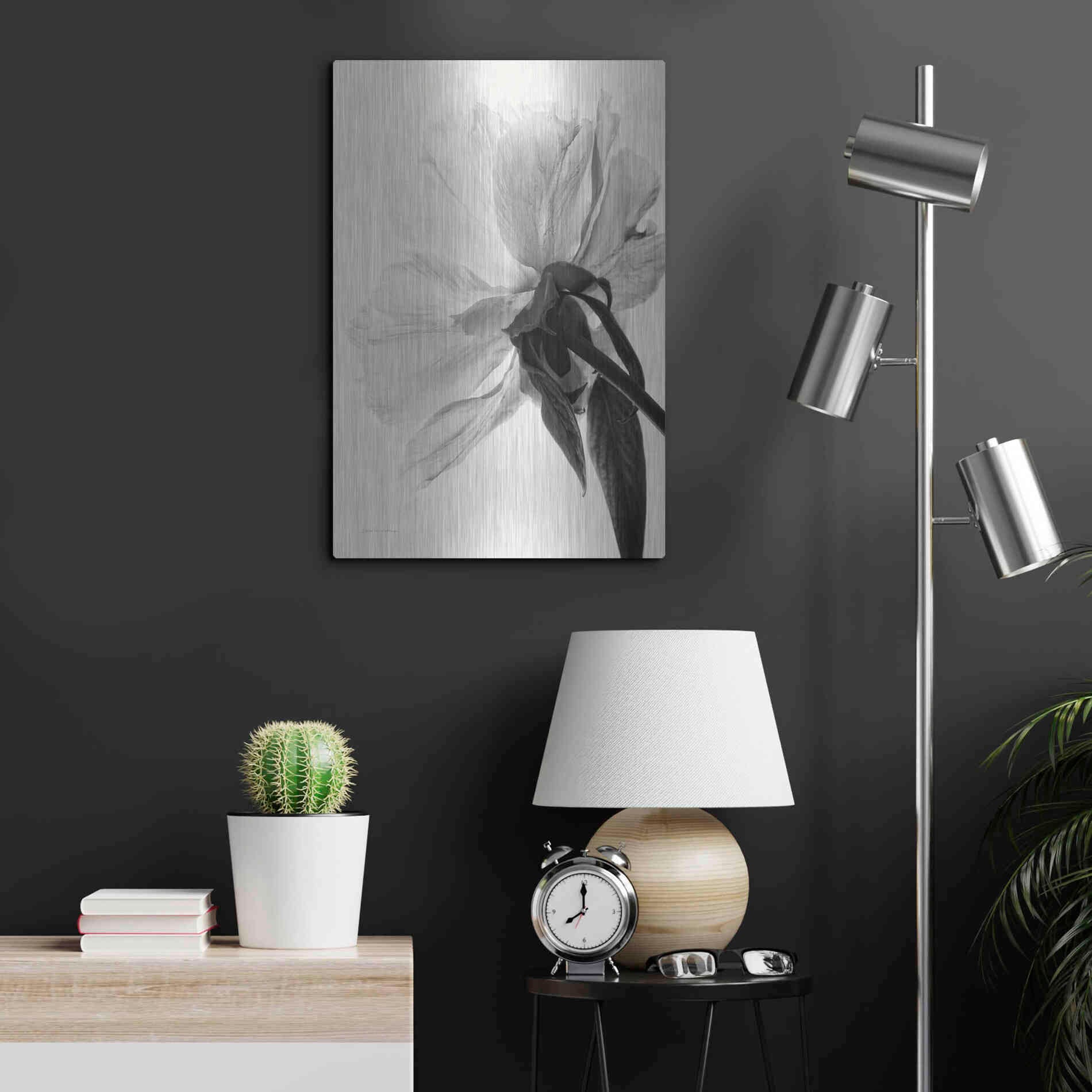 Luxe Metal Art 'Translucent Peony IIIBW' by Debra Van Swearingen, Metal Wall Art,16x24