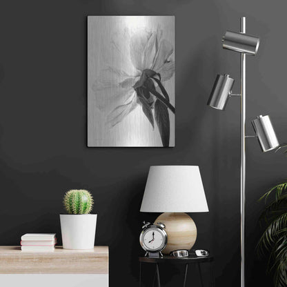Luxe Metal Art 'Translucent Peony IIIBW' by Debra Van Swearingen, Metal Wall Art,16x24