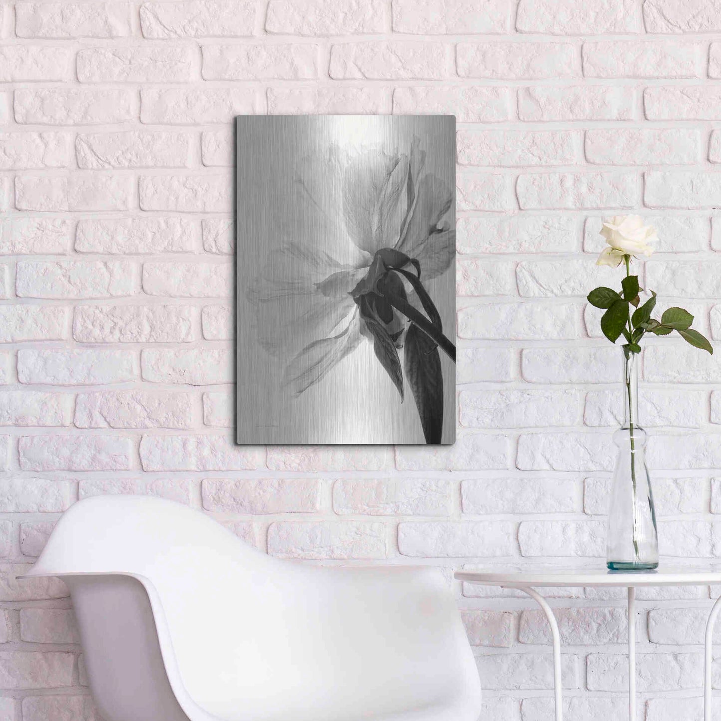 Luxe Metal Art 'Translucent Peony IIIBW' by Debra Van Swearingen, Metal Wall Art,16x24