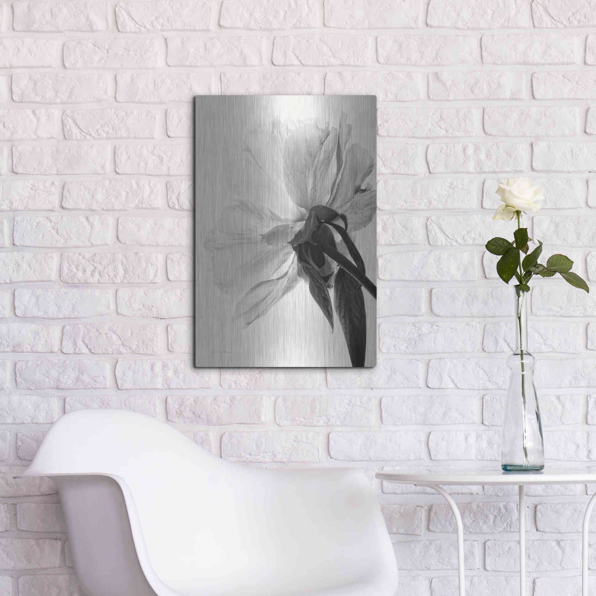 Luxe Metal Art 'Translucent Peony IIIBW' by Debra Van Swearingen, Metal Wall Art,16x24
