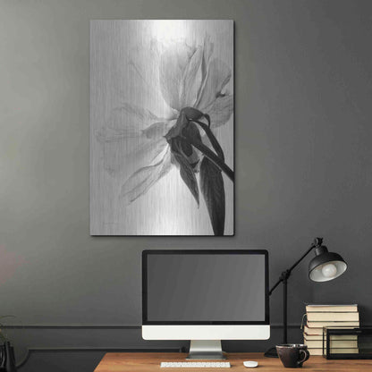 Luxe Metal Art 'Translucent Peony IIIBW' by Debra Van Swearingen, Metal Wall Art,24x36