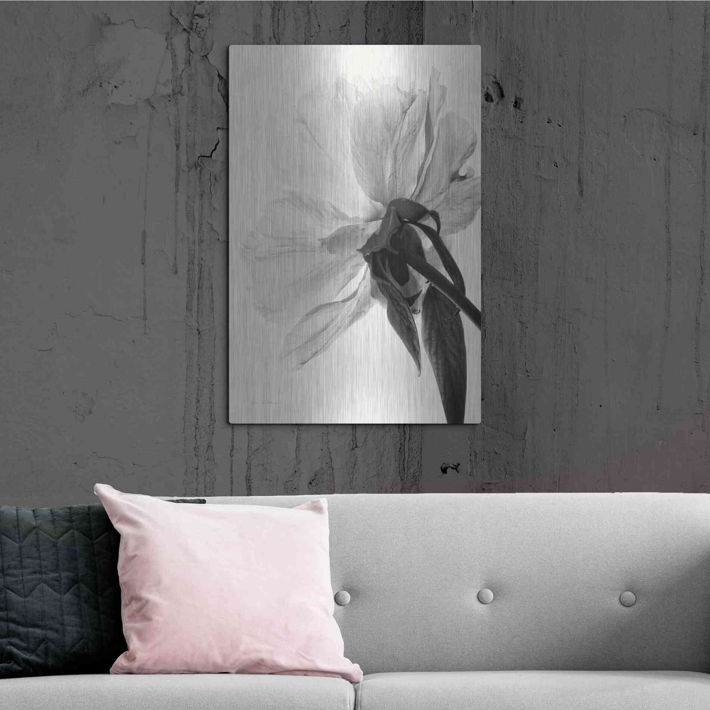 Luxe Metal Art 'Translucent Peony IIIBW' by Debra Van Swearingen, Metal Wall Art,24x36