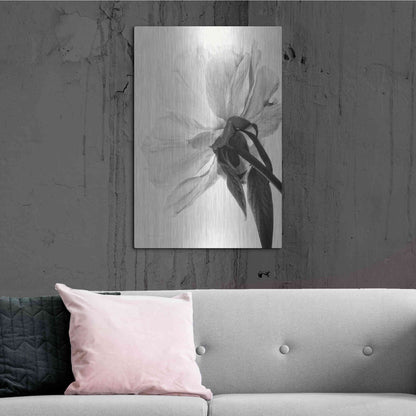 Luxe Metal Art 'Translucent Peony IIIBW' by Debra Van Swearingen, Metal Wall Art,24x36