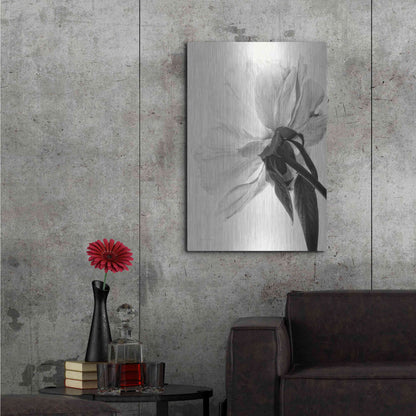 Luxe Metal Art 'Translucent Peony IIIBW' by Debra Van Swearingen, Metal Wall Art,24x36
