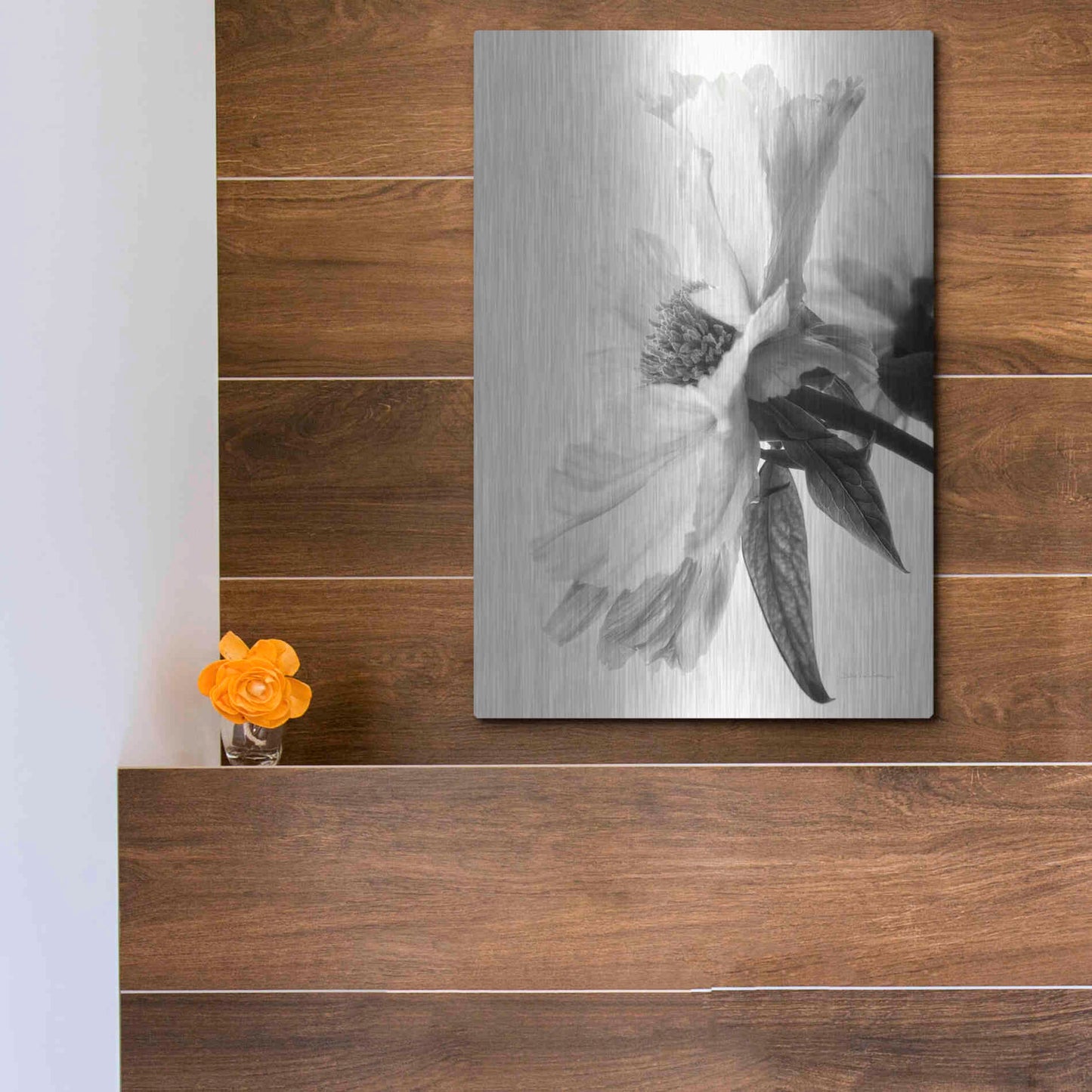 Luxe Metal Art 'Translucent Peony IVBW' by Debra Van Swearingen, Metal Wall Art,12x16