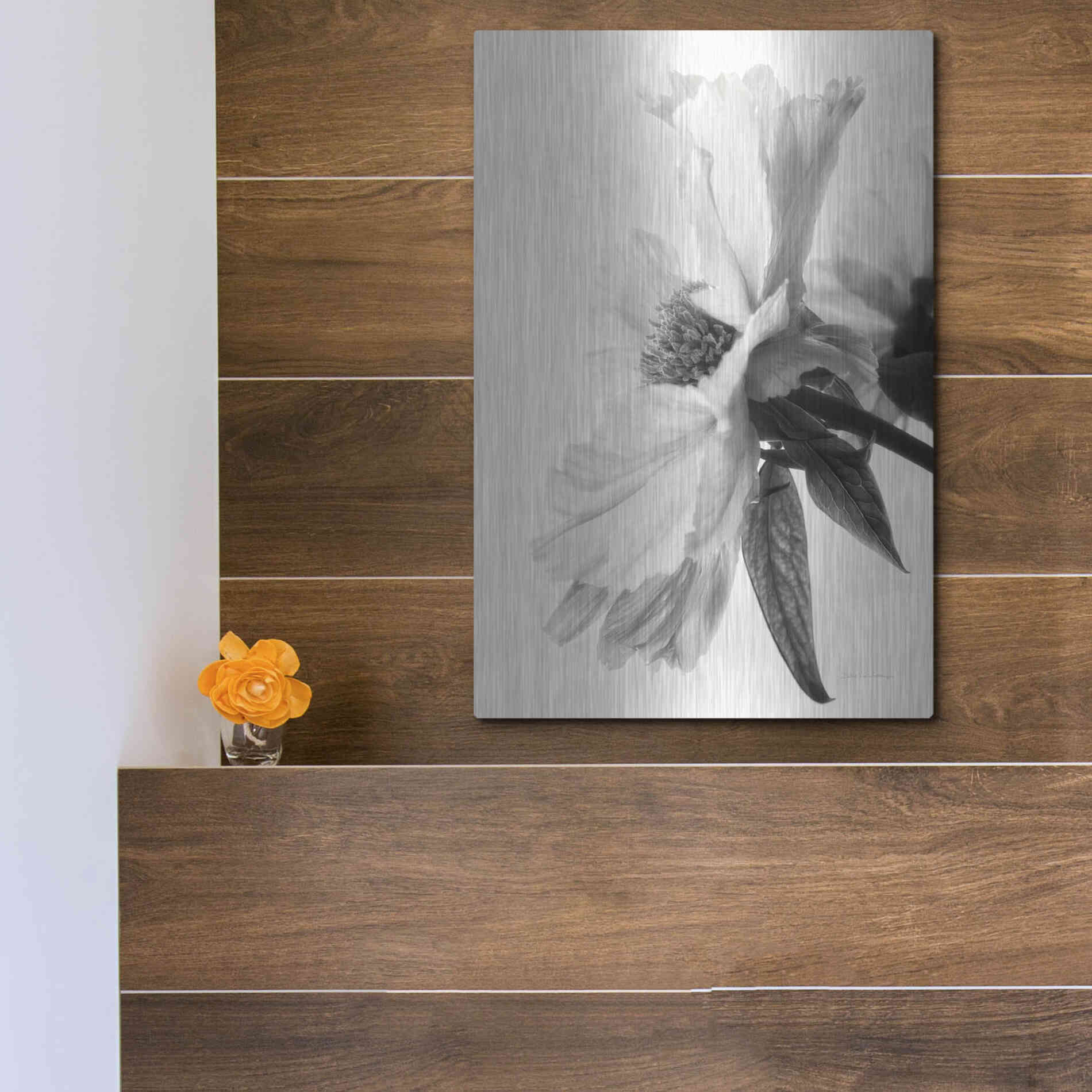Luxe Metal Art 'Translucent Peony IVBW' by Debra Van Swearingen, Metal Wall Art,12x16