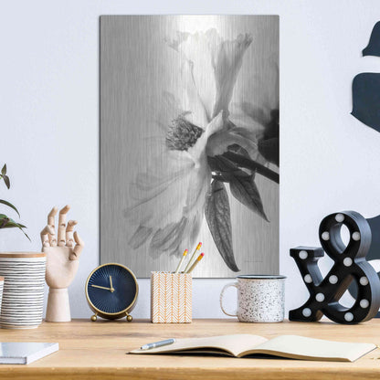 Luxe Metal Art 'Translucent Peony IVBW' by Debra Van Swearingen, Metal Wall Art,12x16