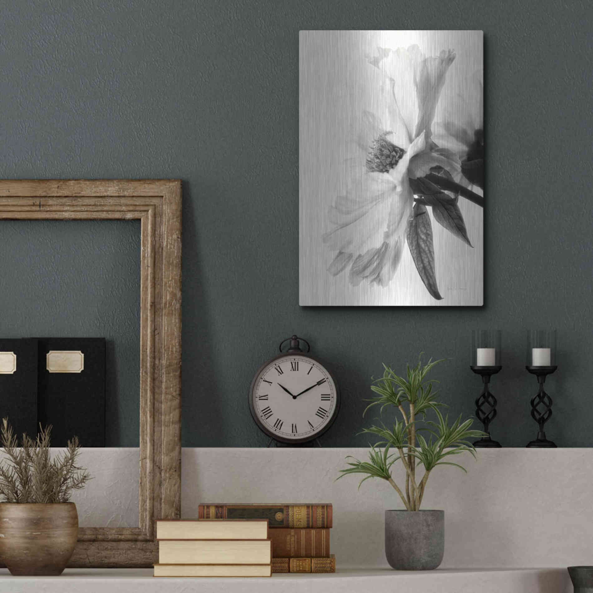 Luxe Metal Art 'Translucent Peony IVBW' by Debra Van Swearingen, Metal Wall Art,12x16