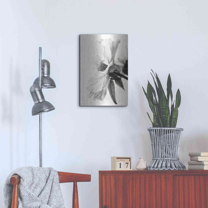 Luxe Metal Art 'Translucent Peony IVBW' by Debra Van Swearingen, Metal Wall Art,16x24