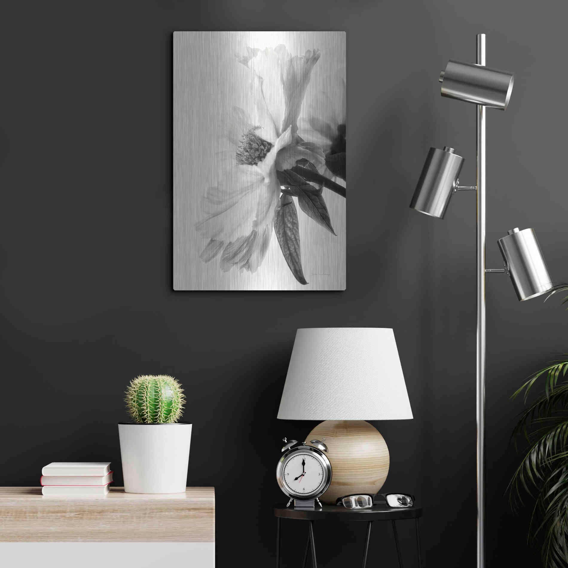 Luxe Metal Art 'Translucent Peony IVBW' by Debra Van Swearingen, Metal Wall Art,16x24