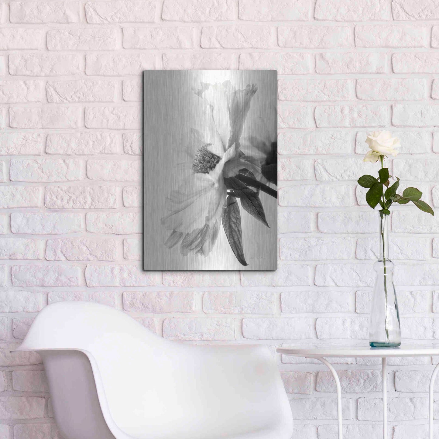 Luxe Metal Art 'Translucent Peony IVBW' by Debra Van Swearingen, Metal Wall Art,16x24