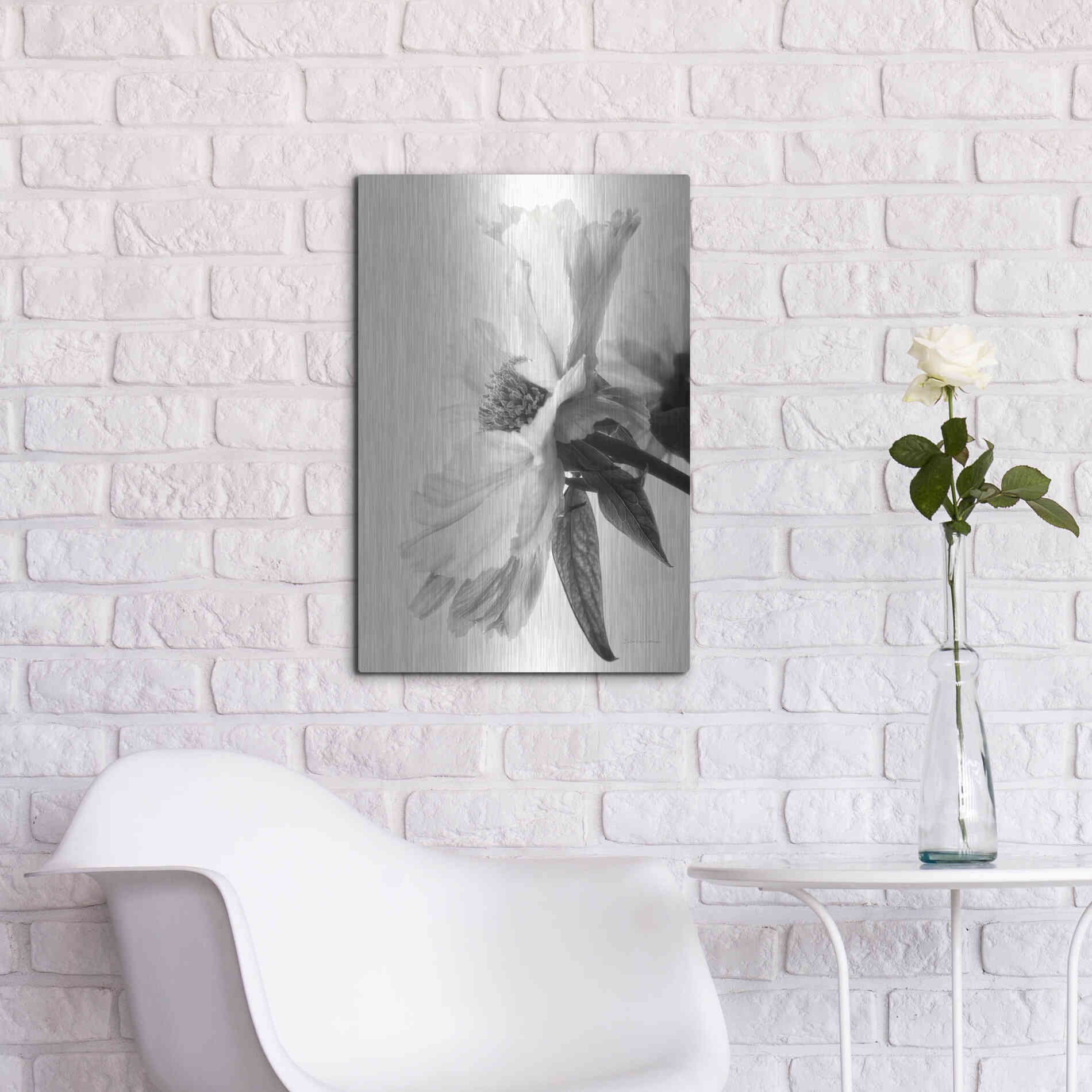 Luxe Metal Art 'Translucent Peony IVBW' by Debra Van Swearingen, Metal Wall Art,16x24