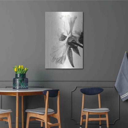 Luxe Metal Art 'Translucent Peony IVBW' by Debra Van Swearingen, Metal Wall Art,24x36
